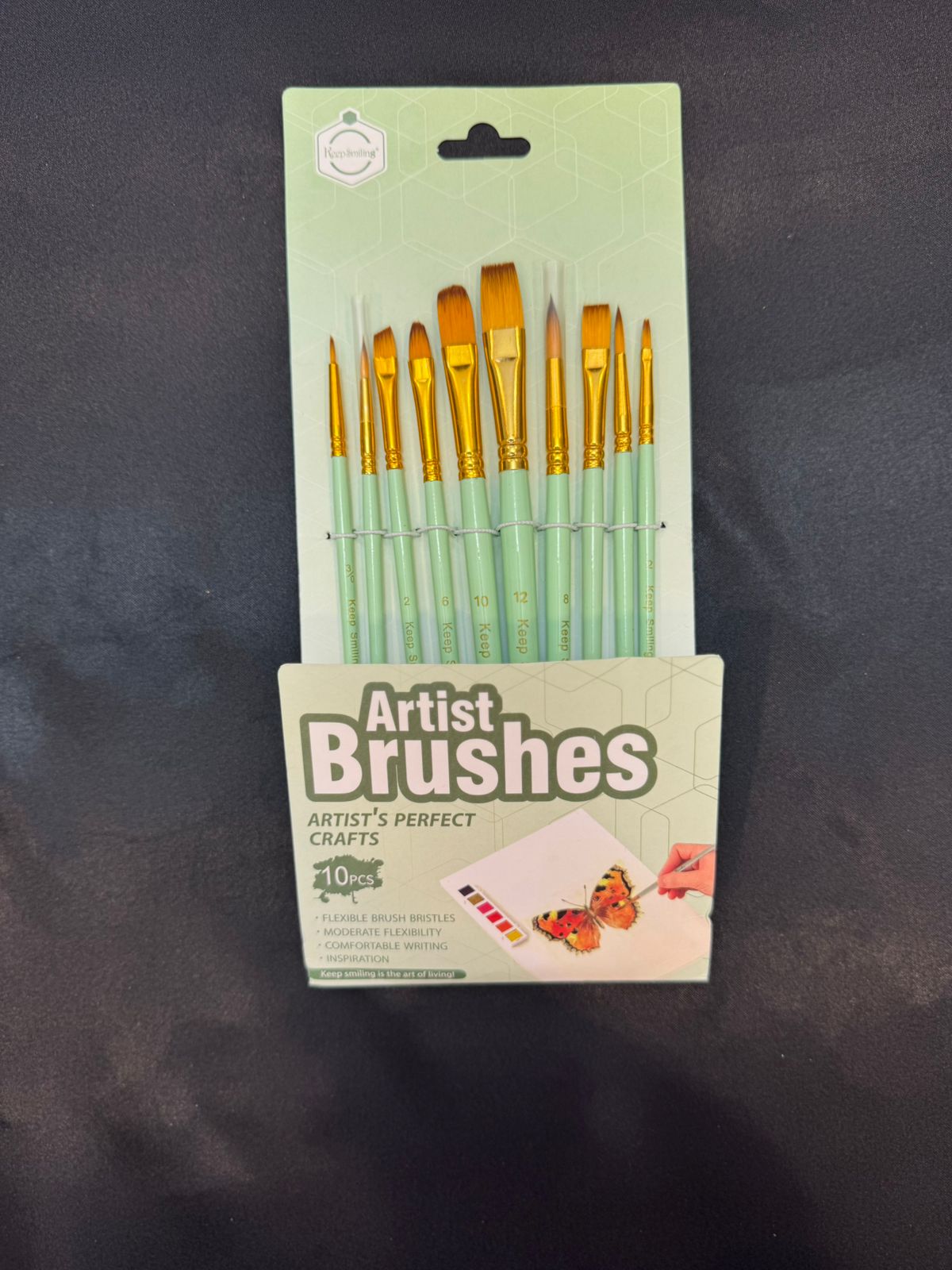 10 Pieces Multi-Shape Paint Brushes