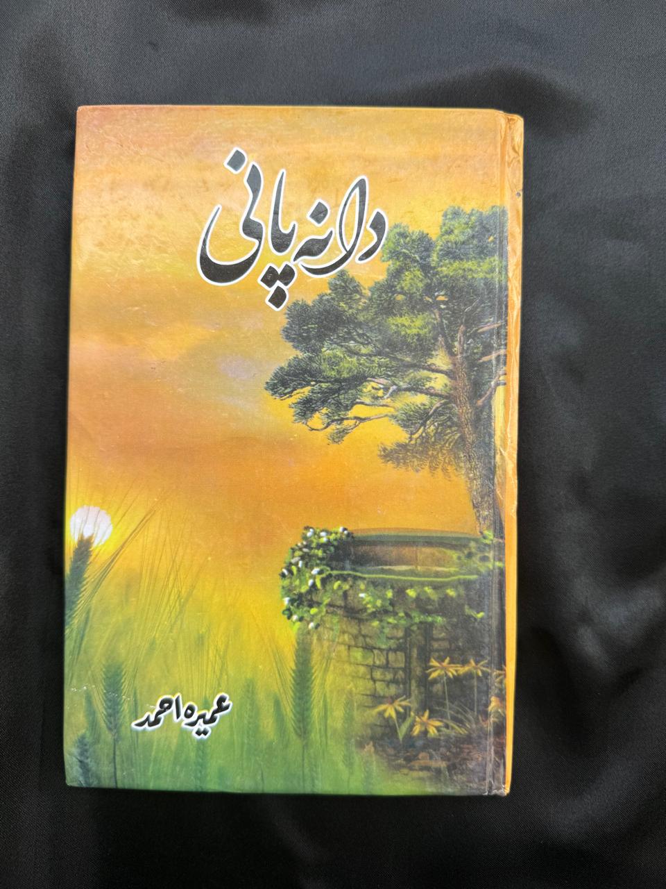 Daana Pani Urdu Novel by Umera Ahmed