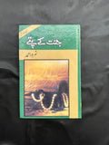 Jannat Ke Pattay Urdu novel by Nimra Ahmed