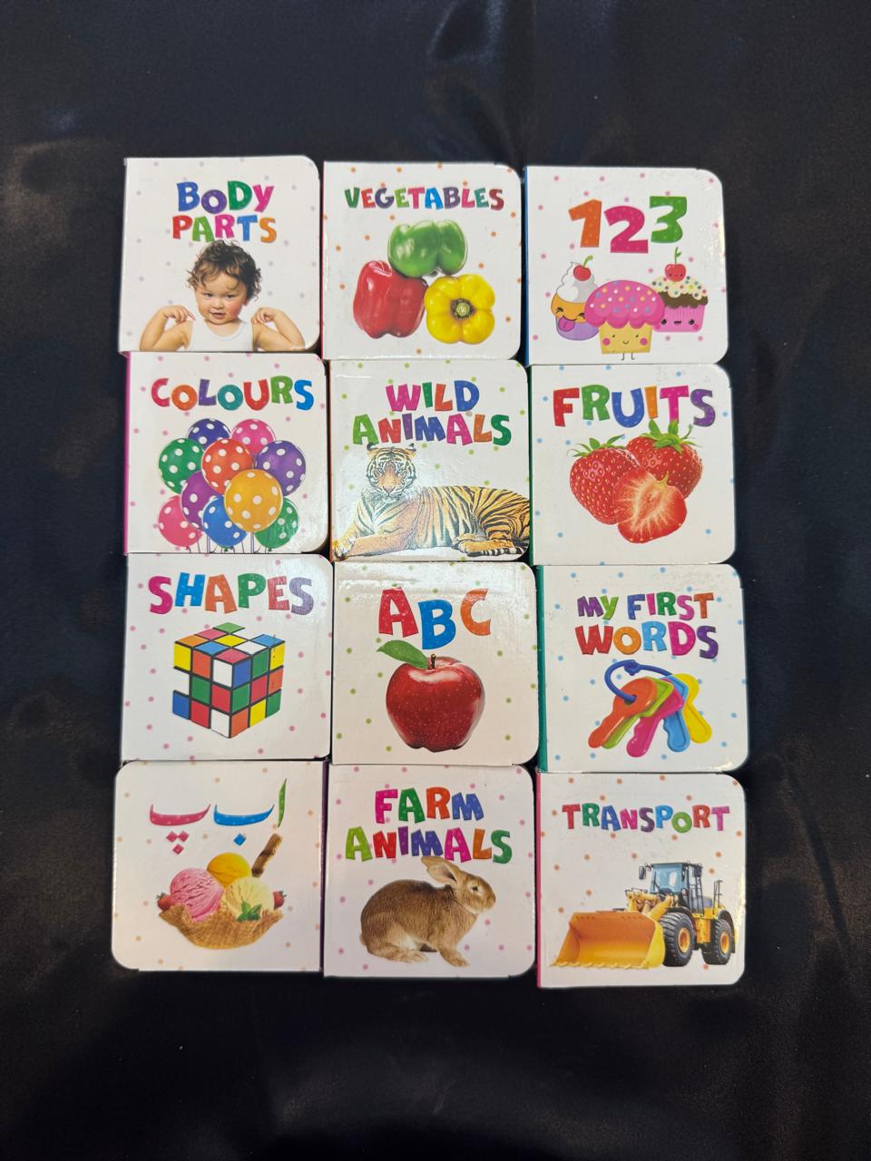 12 in 1 little learning library for kids