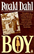 Boy book by Roald Dahl