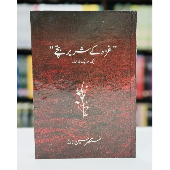 Ghaza Kay Shareer Bachy Urdu novel by mustansar hussain tarar