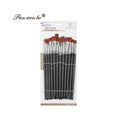 Panwenbo Professional Paint Brush Set 12 Pcs | Nylon Hair