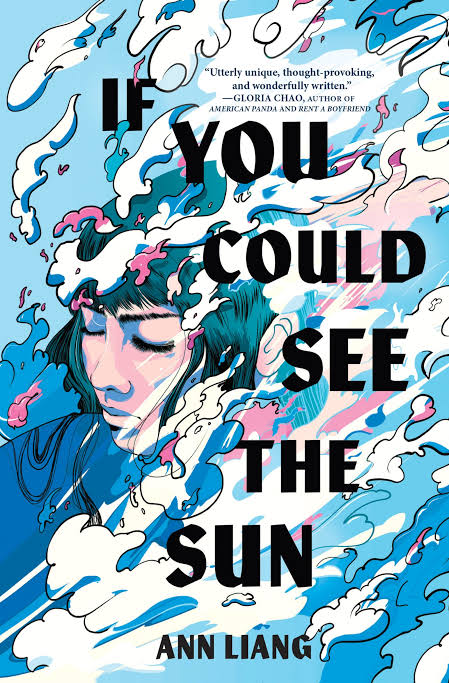 If You Could See The Sun english Novel by Ann Liang
