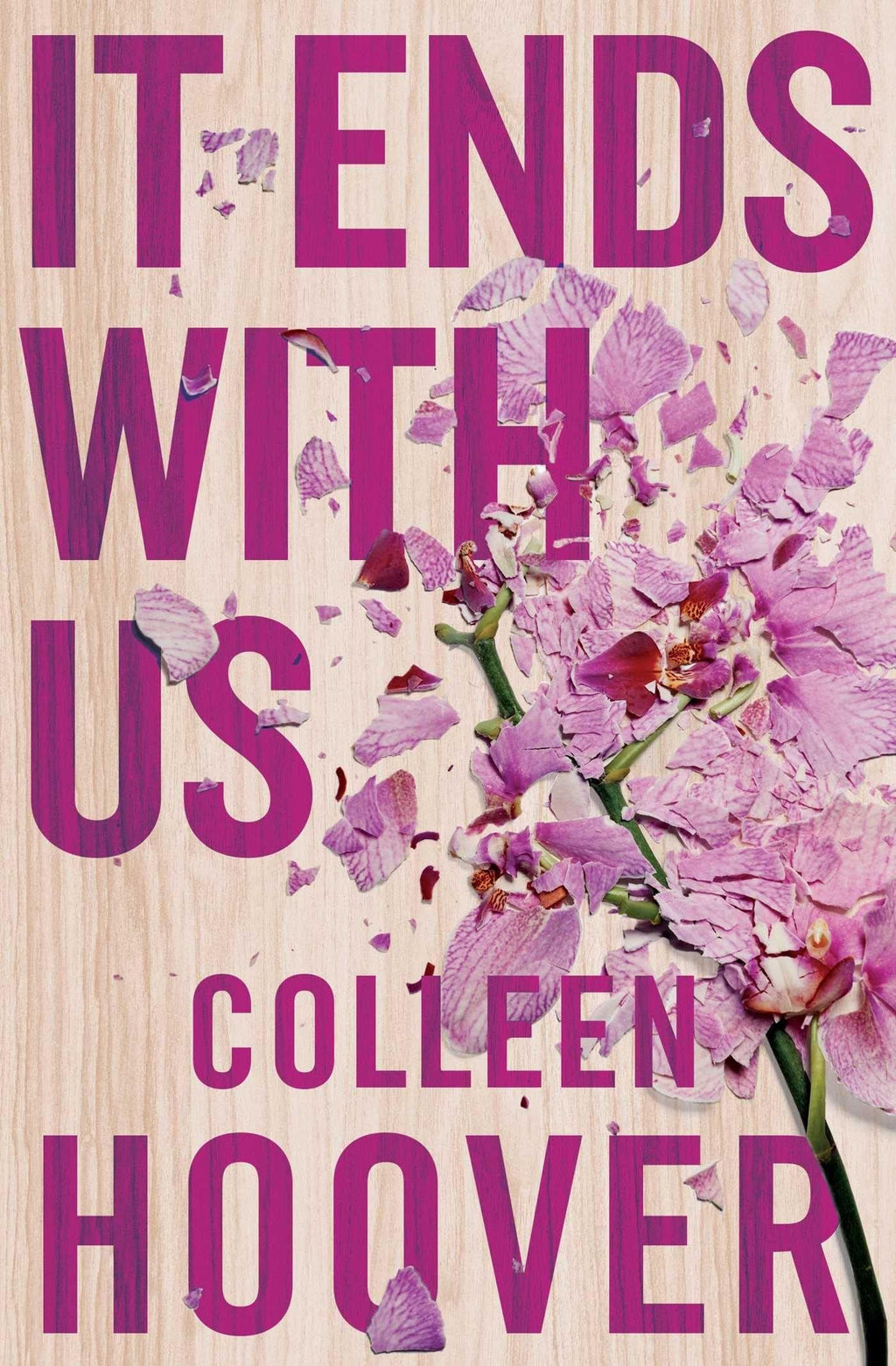 It Ends with Us english Novel by Colleen Hoover