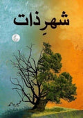 Shehr-e-Zaat urdu novel by Umera Ahmed