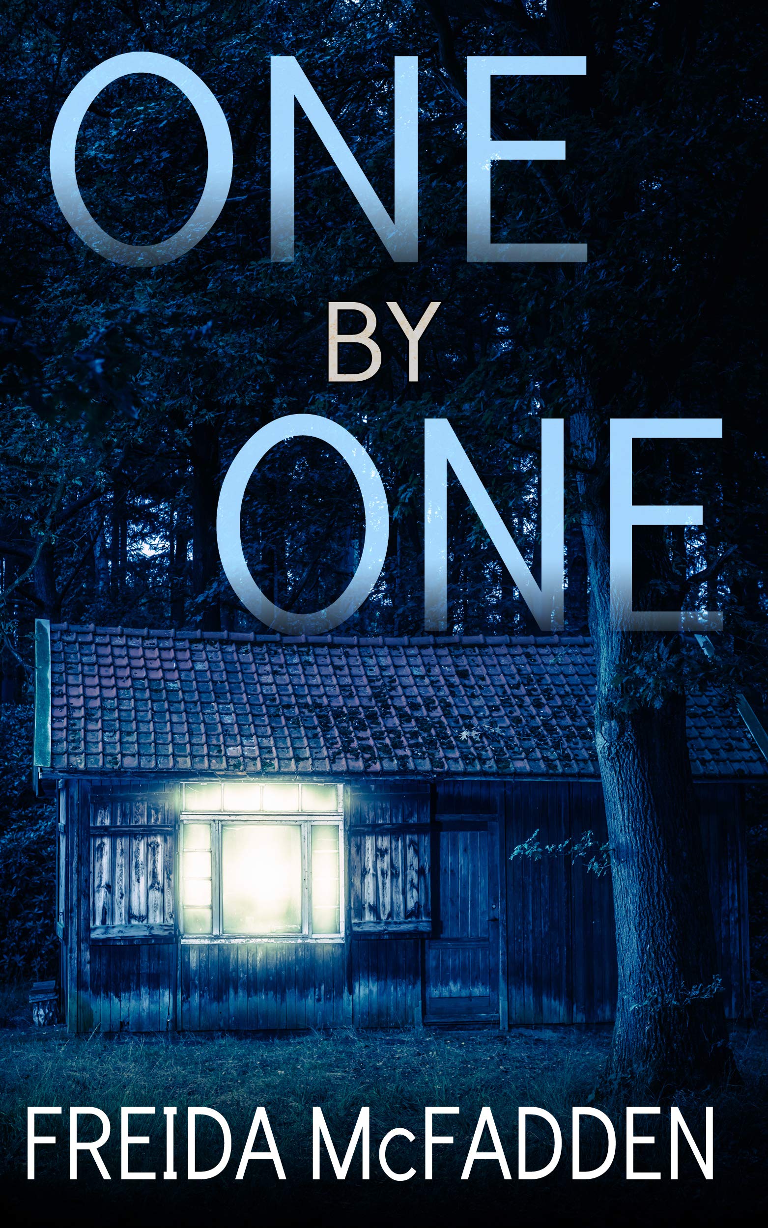 One By One book by Freida McFadden